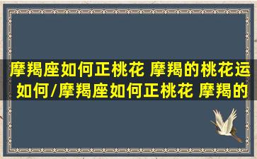 摩羯座如何正桃花 摩羯的桃花运如何/摩羯座如何正桃花 摩羯的桃花运如何-我的网站